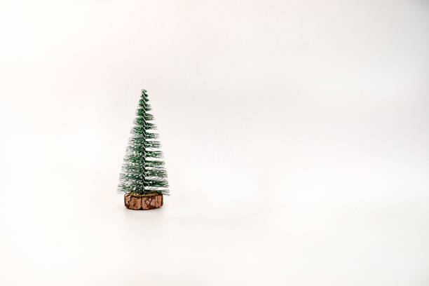istock Miniature Christmas tree isolated on white background 1196161000