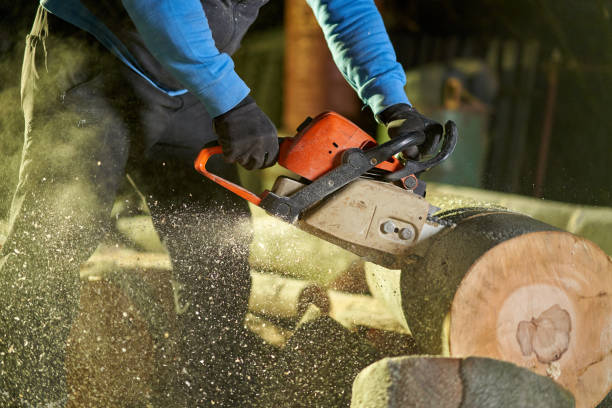 istock Lumberjack hands sawing logs 1196161985