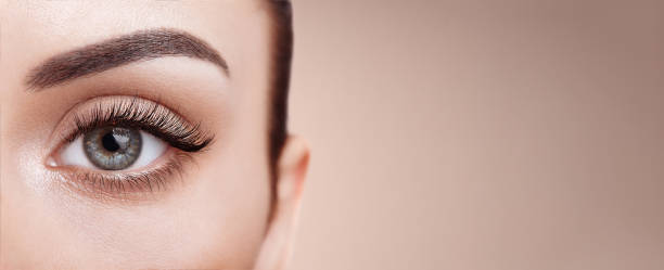 female eye with long false eyelashes - beauty treatment skin care beauty young women imagens e fotografias de stock