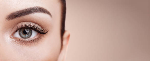 женский глаз с длинными накладными ресницами - beauty treatment skin care beauty young women стоковые фото и изображения