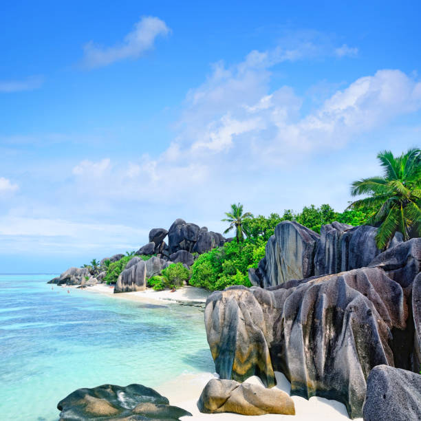 istock Seychelles seascape 1196171511