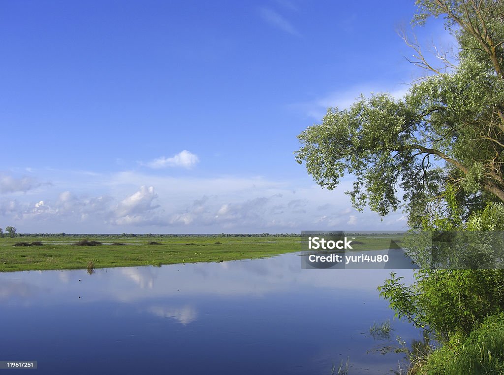 Wasser-Landschaft - Lizenzfrei Ast - Pflanzenbestandteil Stock-Foto