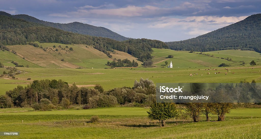 Mountain and meadows landscape with the church tower  Church Stock Photo