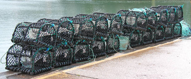 istock Lobster Fishing Pots. 1196176621