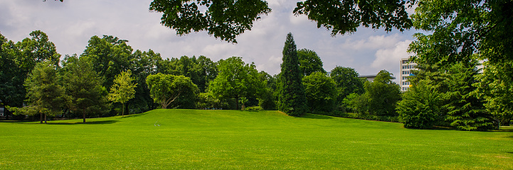 Green lawn in the park. Summer season. Web banner.