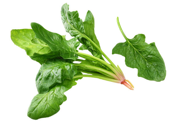 istock spinach leaves isolate on white background. Healthy food. 1196178151