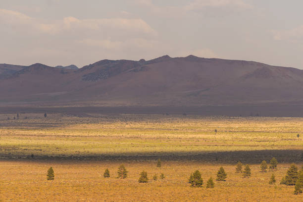 istock Mono Lake views, California 1196183918