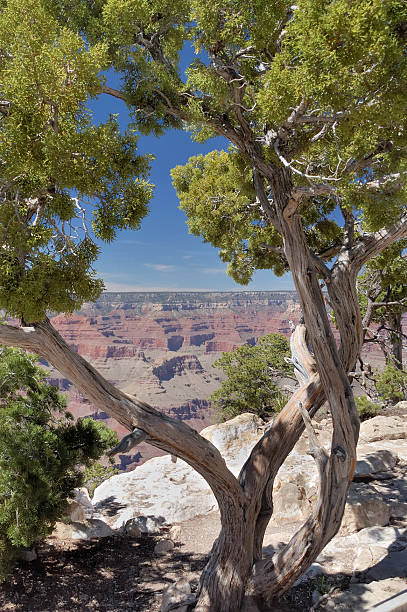 istock Grand Canyon National Park 119618502