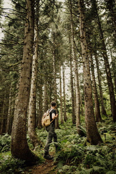 istock young man with bag in pine forest 1196186214