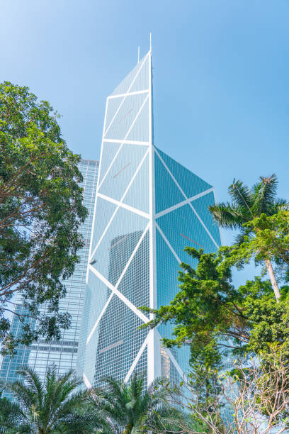 istock Portion of trees against office buildings 1196190495