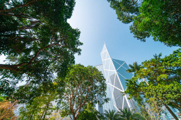 istock Portion of trees against office buildings 1196190505