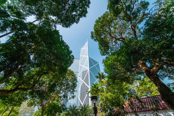 Portion of trees against office buildings