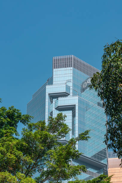 istock Portion of trees against office buildings 1196190541