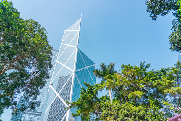 istock Portion of trees against office buildings 1196190544