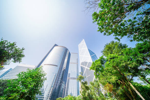 istock Portion of trees against office buildings 1196190691