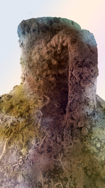 istock Colorful ancient amphora retracted from underwater. 1196190749