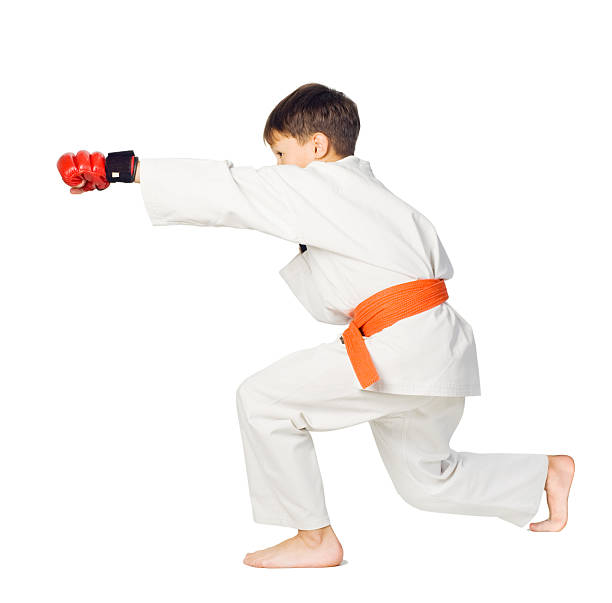 istock Aikido boy.Martial Arts 119619280