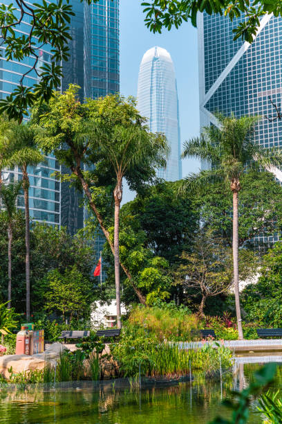 istock Portion of trees against office buildings 1196195674
