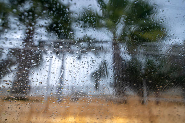 istock Palm trees in the wind through the glass with raindrops 1196198189