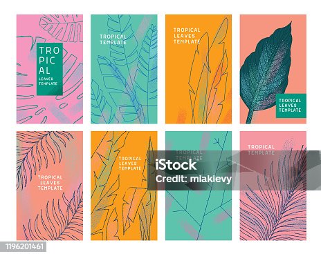 istock Tropical leaves templates 1196201461