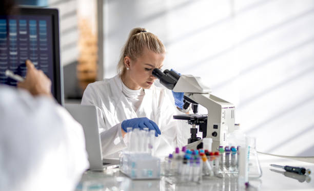 female scientist looking through a microscope - laboratory pharmacy medicine research imagens e fotografias de stock