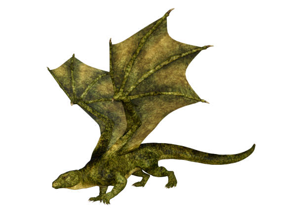 istock 3D illustration fantasy dragon on white 1196203804