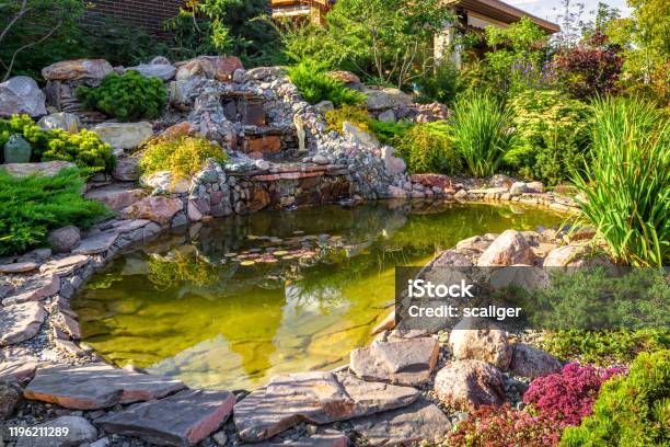 Landscape Design Of Home Garden Closeup Beautiful Landscaping With Small Pond And Waterfall Stock Photo - Download Image Now