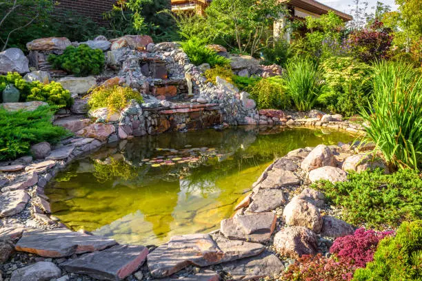 Photo of Landscape design of home garden close-up. Beautiful landscaping with small pond and waterfall.