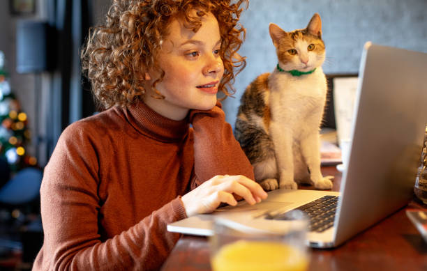istock Young woman with cat using laptop 1196212224