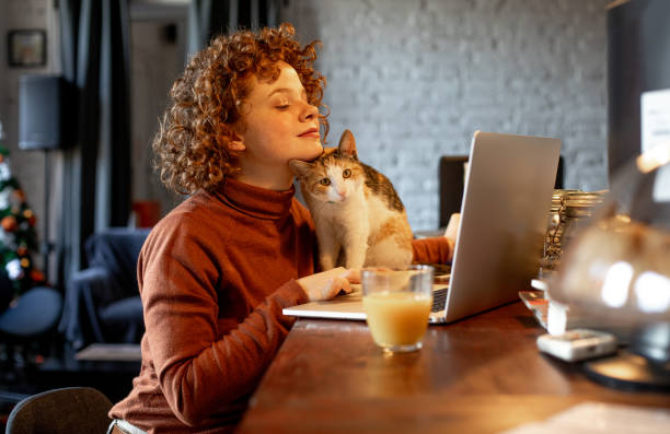 jonge vrouw met kat met behulp van laptop - kat stockfoto's en -beelden