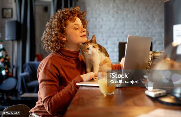 Young Woman With Cat Using Laptop Stock Photo - Download Image Now - Domestic Cat, Domestic Life, Laptop