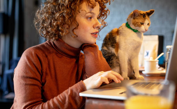 istock Young woman with cat using laptop 1196213271