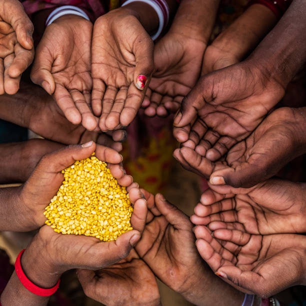 istock Hunger in Africa - hands asking for food 1196217305