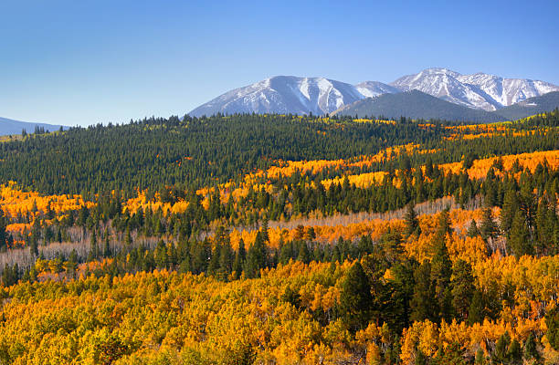 Scenic Colorado landscape stock photo