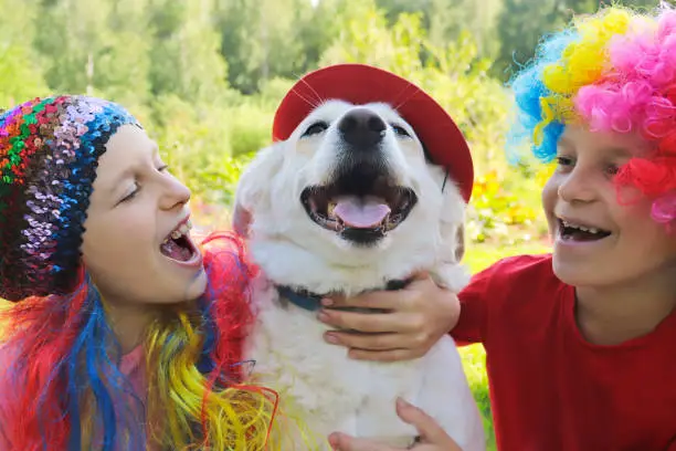 Small children dressed in elegant festive fun wigs with their dog and play with it in nature in the summer.
