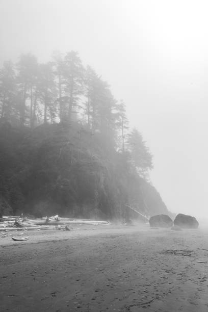 istock Pacific Coast Fog In Black & White 1196224390