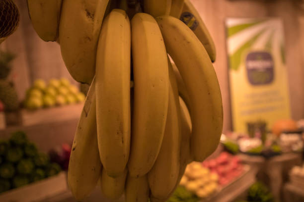 istock The fresh fruits 1196228721