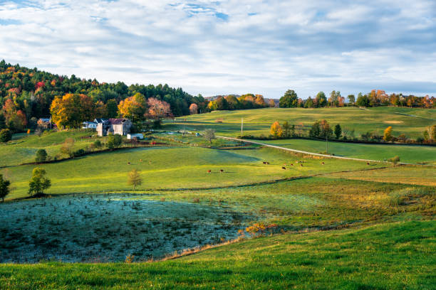 istock Idyllic rolling rural landscape at sunrise 1196229414