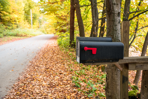 Traditional black American mailboxes along a forest road on a sunny autumn day. Vermont, USA.