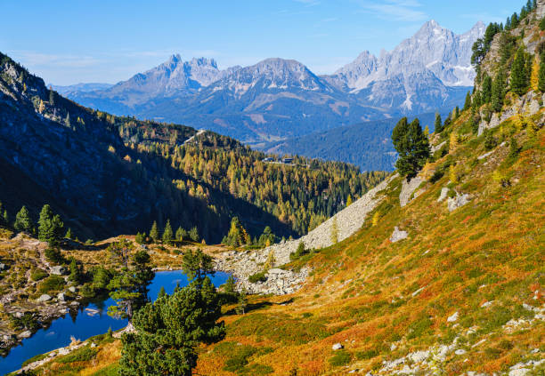 istock Calm autumn Alps mountain lake with clear transparent water and reflections. Spiegelsee or Mirror Lake, Reiteralm, Steiermark, Austria. 1196231663