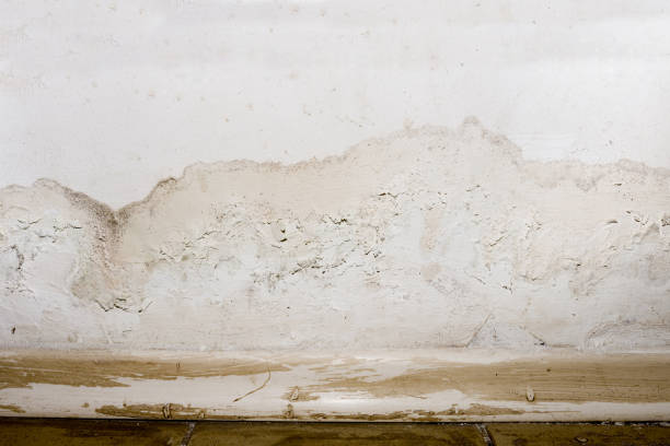 istock Flooding rainwater or floor heating systems, causing damage, peeling paint and mildew. 1196234774