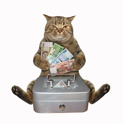 The beige cat banker is putting russian rubles into a portable metal safe. White background. Isolated.