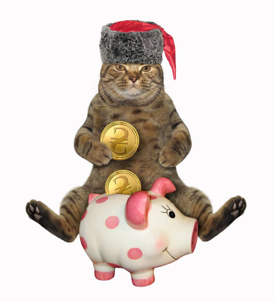 istock Cat cossack with piggy bank 1196234925