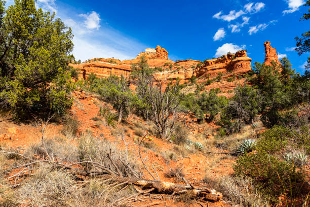 The natural beauty of the red rock sandstone in the Boynton Canyon Trail in Sedona, Arizona.