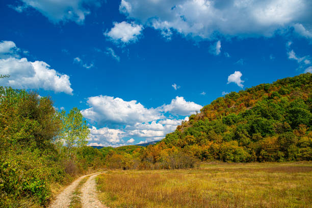 Mountain road and landscape with sunny sky with clouds and woods of Eastern Serbia