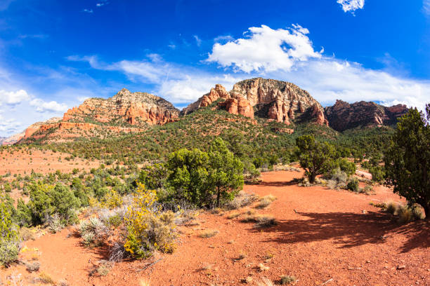 istock Sedona Red Rock Landscape 1196236420