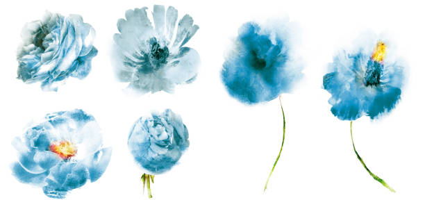 istock Watercolor flowers , isolated on white background 1196236440