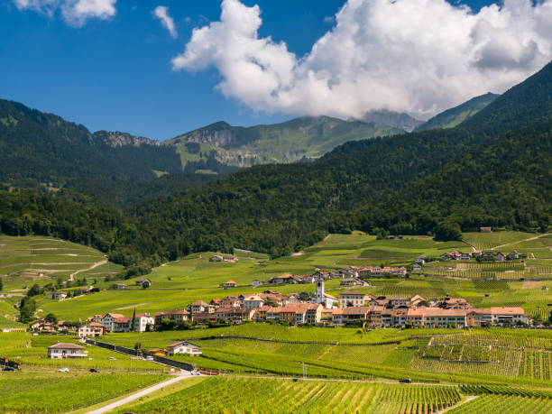 istock Summer Switzerland valley landscape with vineyards at foreground 1196237531