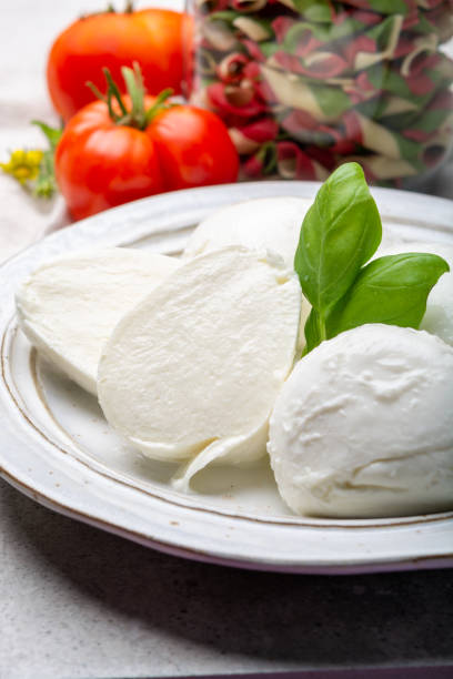 istock Cheese collection, balls Italian soft white cheese mozzarella 1196239898