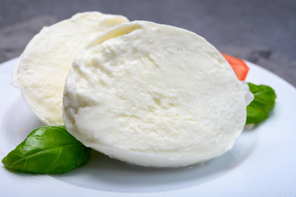 istock Cheese collection, soft white Italian mozzarella di bufala campana with fresh green basil leaves and red tomatoes 1196239990
